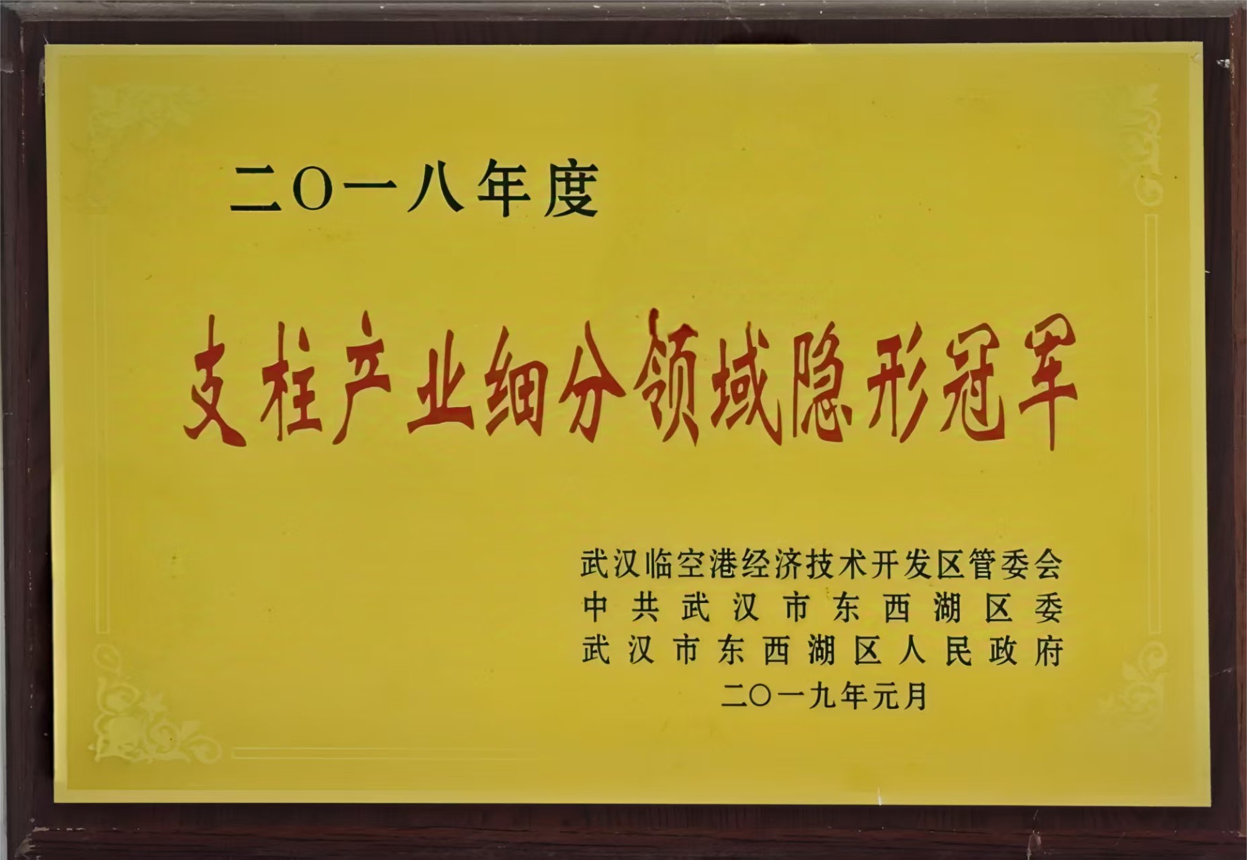 支柱产业细分领域隐形冠军